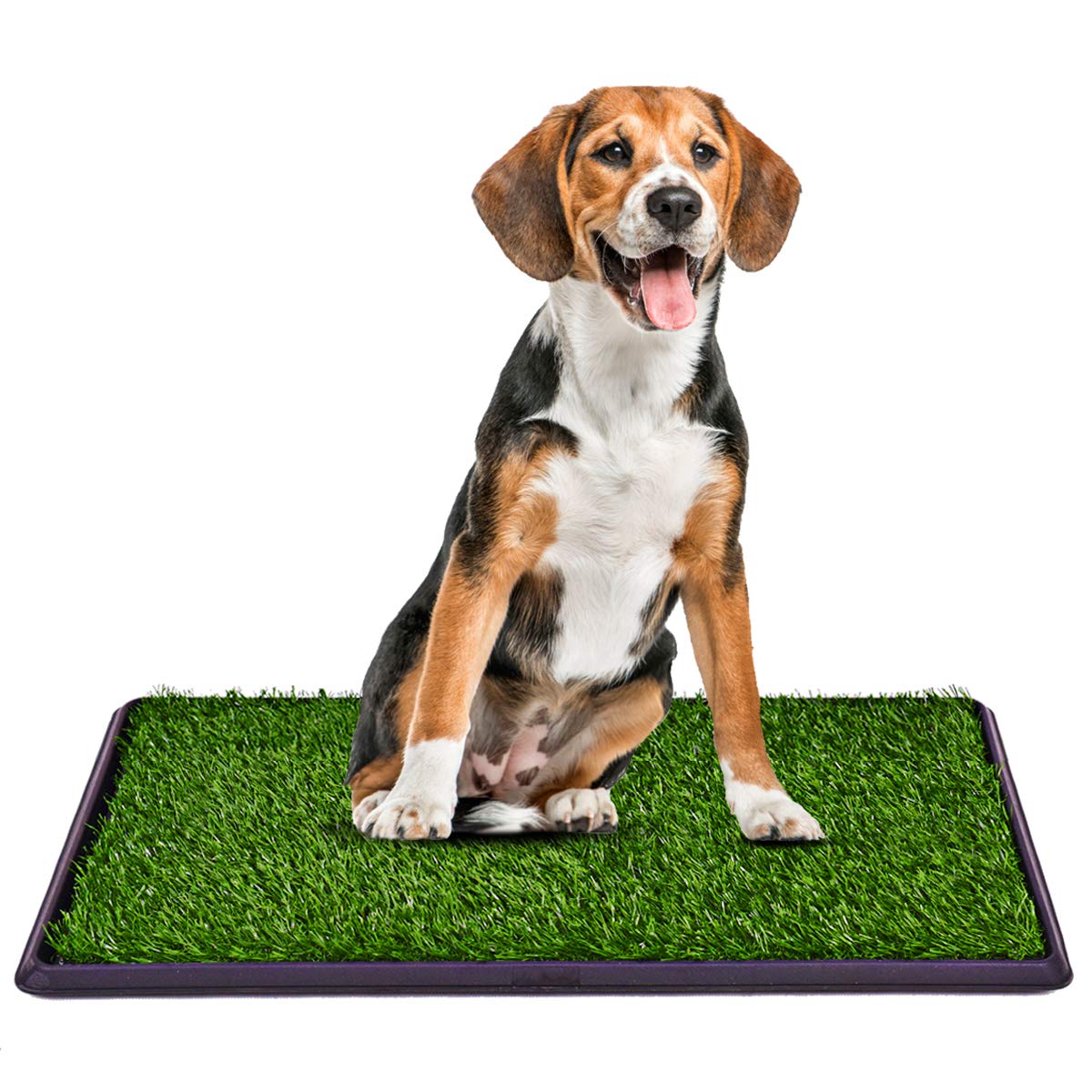 Giantex 30"x20" Puppy Pet Potty Grass Pee Pad Home Training Toilet Pad