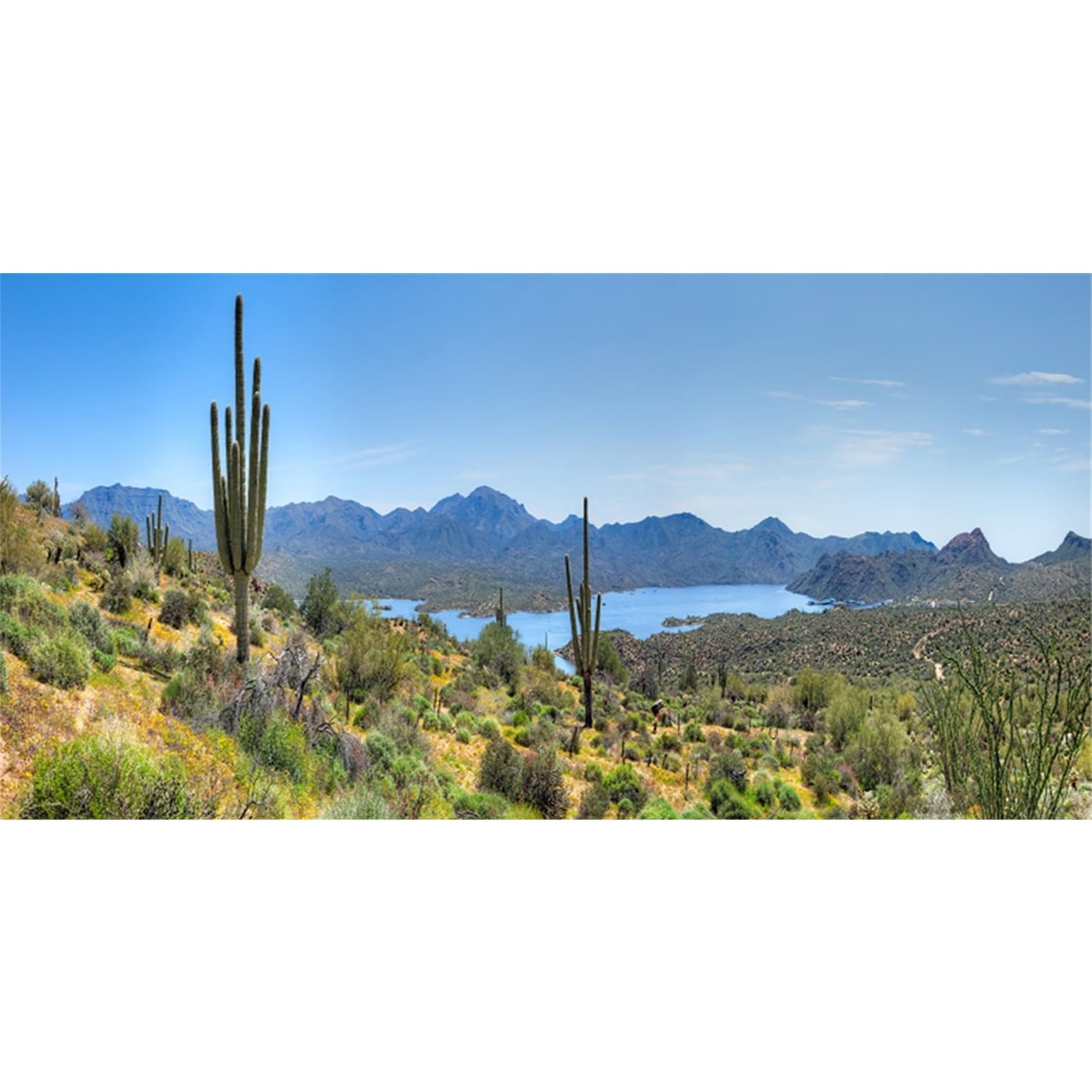 MIRRORANG 180x61cm Terrarium Background Blue Sky Mountain Lake Cactus Gobi Reptile Habitat Background Durable Vinyl Background
