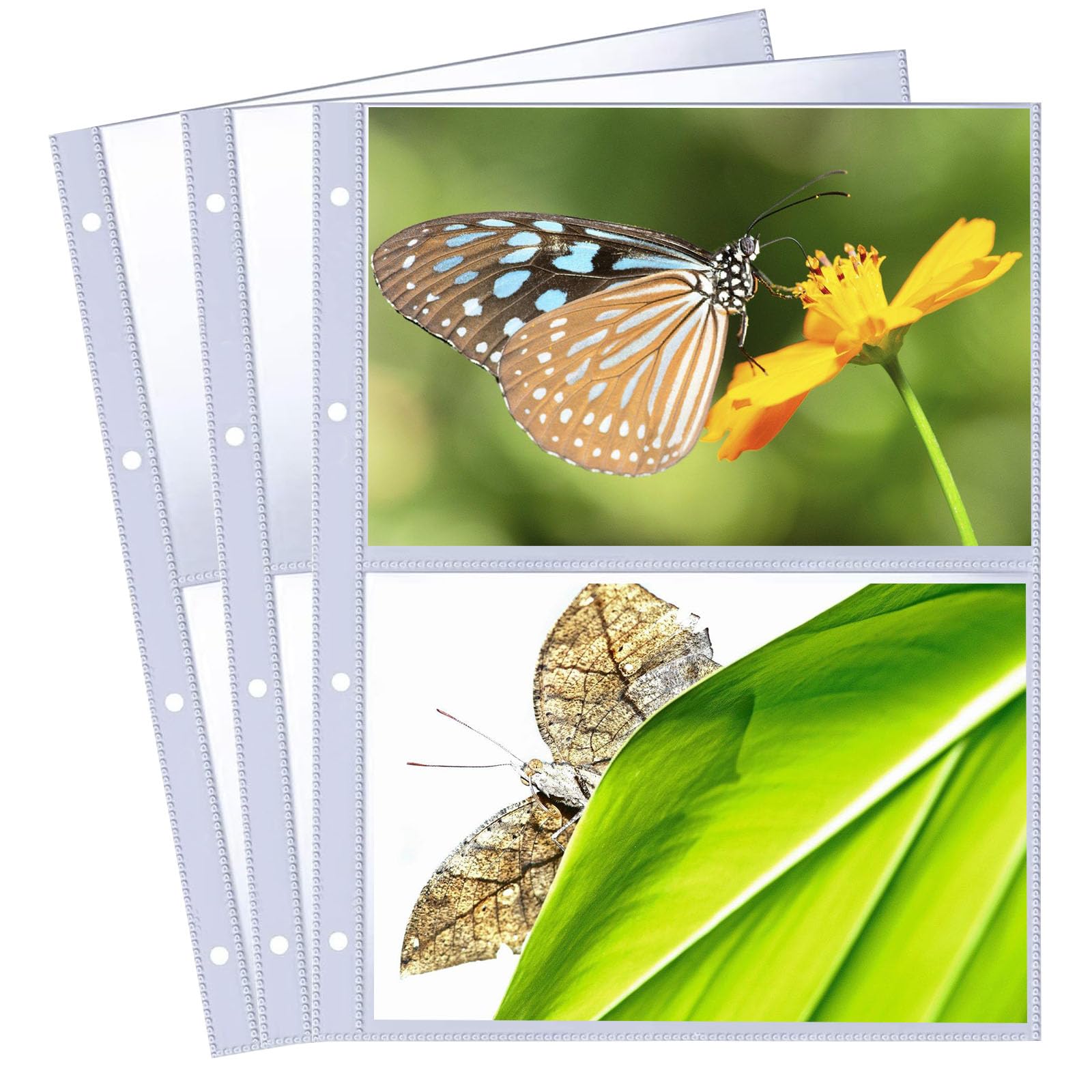 30 Pack Photocard Sleeves, 2 Compartments Photo Sleeves Double-Sided Transparent A4 Binder for Storing Photos Postcards Souvenir Paper (60 Pockets)
