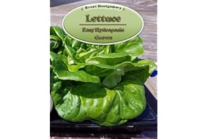 Lettuce - Easy Hydroponic Grows