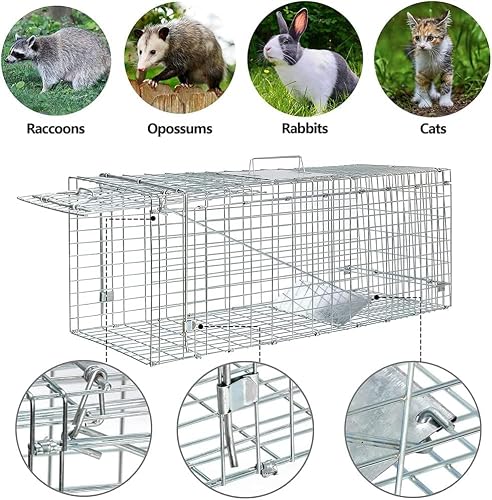 Live Animal Cage Trap Heavy Duty Folding Raccoon Traps Humane Cat Trap for Stray Raccoons Squirrel Mole Catch and Release
