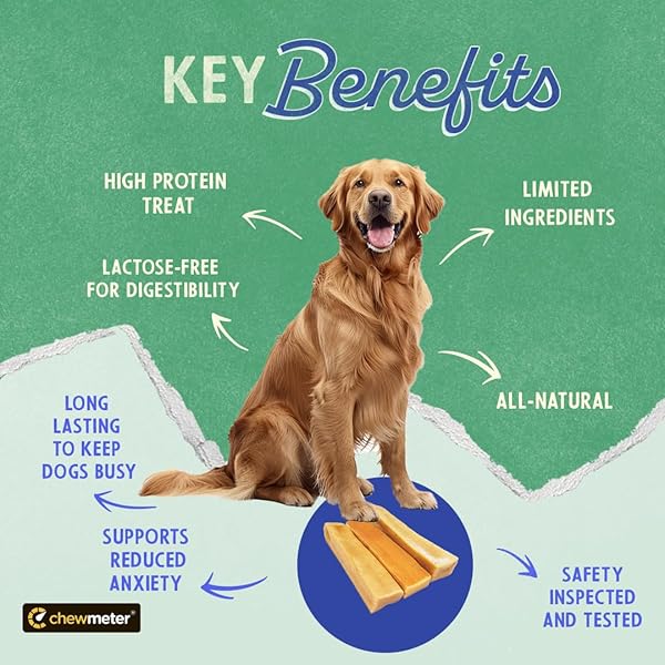 CHEWMETER YAKY HIMALAYAN YAK CHEESE DOG CHEWS, DOG BONES FOR AGGRESSIVE CHEWERS, HEALTHY DOG TREATS, LONG LASTING, NATURAL, RAWHIDE ALTERNATIVE, GRAIN FREE, DOGS 65 LBS & UNDER, 3 COUNT (PACK OF 1)