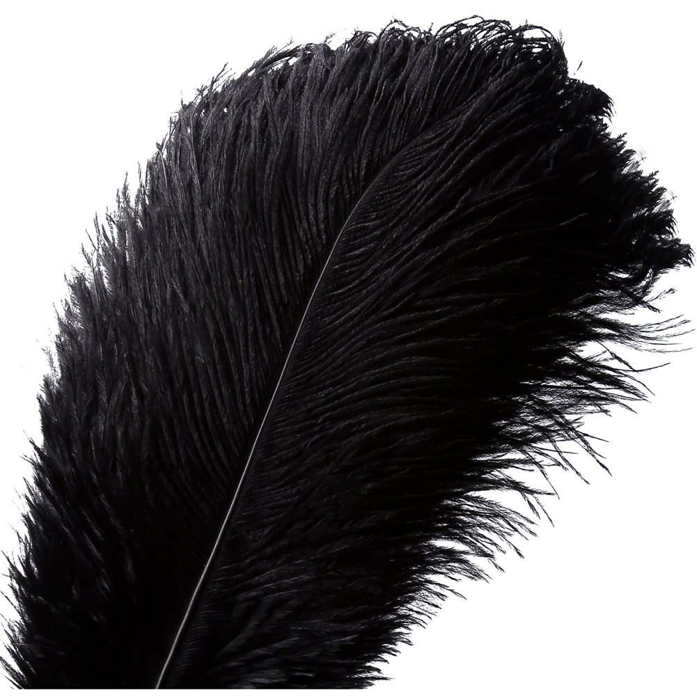 10pcs Natural Ostrich Feather Craft 14-16inch(35-40cm) Plume for Wedding Centerpieces Home Decoration (Black)