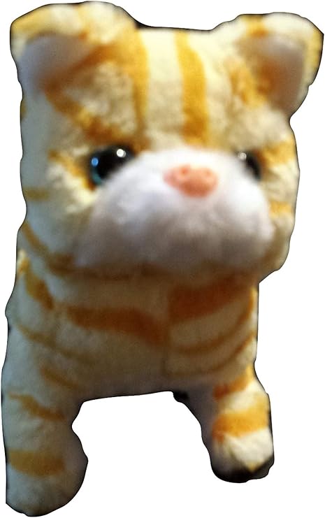 toy kitten that walks