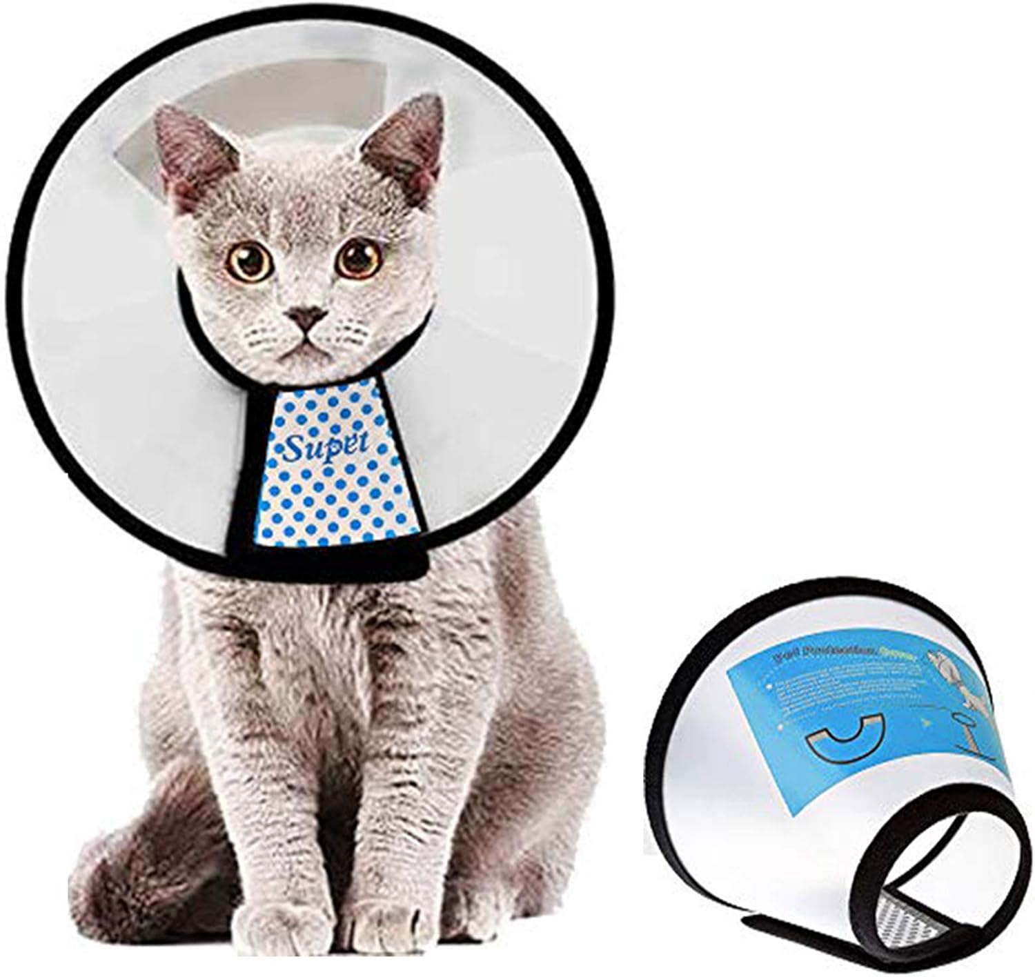 black bear hamster for sale