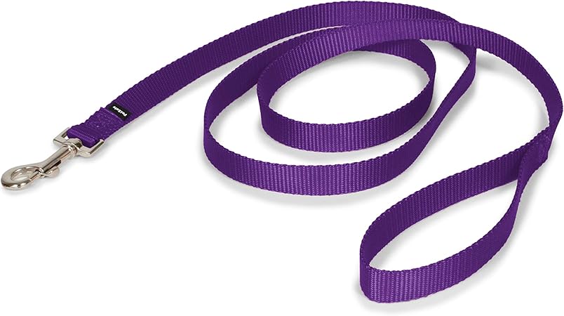 Amazon.com : PetSafe Nylon Leash, 3/4 