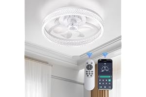 fenhua Ceiling Fans with Lights and Remote:Low Profile Ceiling Fan with Light,6 Wind Speeds Modern Smart Ceiling Fan 20 in Bladeless Ceiling Fan Flush Mount for Bedroom, Kids Room and Indoor (White)