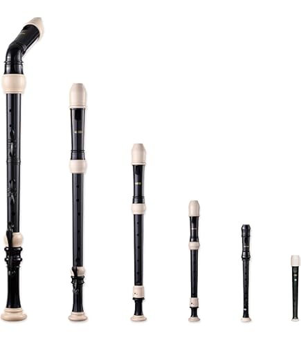 Amazon.com: Toyama Musical Instrument AULOS Symphony Bass Recorder