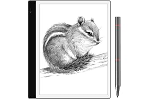 Bigme inkNoteS eReaders 10.3” E Ink Tablet 4G 64GB E-Ink Screen Paper Tablet for Reading, Writing & Sketching, eBook Reader Includes Stylus and Cover