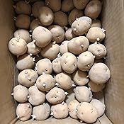 カスタマー画像