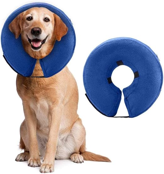 amazon dog cone collar