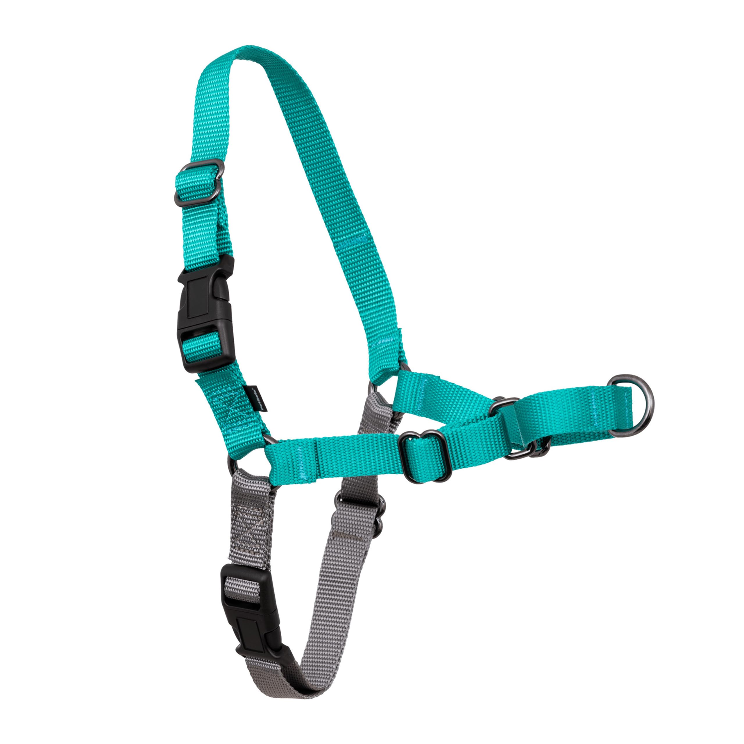 PetSafe Easy Walk No-Pull Dog Harness - The Ultimate Harness to Help Stop Pulling - Take Control & Teach Better Leash Manners - Helps Prevent Pets Pulling on Walks, Medium, Teal/Gray