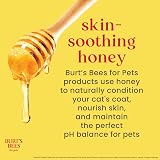 BURT'S BEES FOR PETS Kitten Tearless Shampoo with Buttermilk 10 Fl Oz view 6