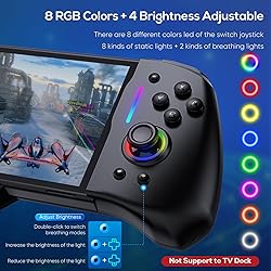 Switch Controller for Nintendo