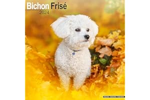 Bichon Calendar - Bichon Frise - Dog Breed Calendars - 2023 - 2024 wall calendars - 16 Month by Avonside