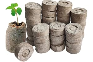 FDGARDEN 100 Pcs Peat Pellets Seed Starting Plugs Pellets Seedling Soil Block 30mm Nursery Soil for Indoors Garden Flowers Seedling Planting Seeds Starter Pellet for Transplanting Planting