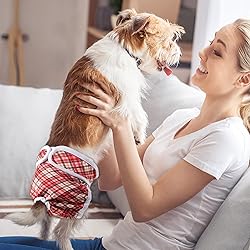 Pantula Washable Dog Diapers Female