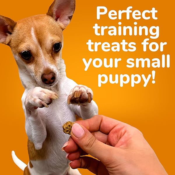 FRUITABLES SKINNY MINIS DOG TREATS, HEALTHY PUMPKIN TREAT FOR DOGS, LOW CALORIE & DELICIOUS, PUPPY TRAINING, NO WHEAT, CORN OR SOY, MADE IN THE USA, WATERMELON FLAVOR, 5OZ