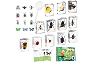Artojoy Insect in Resin Specimen, 12 PCS Scientific Educational Bugs Collection, Science Classroom Preschool Display, Real Specimens of Butterflies Beetles Preserved, Stickers, Oddities(Total 61pcs)