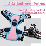 Rabbitgoo Dog Harness Large No Pull Reflective Adjustable Pink Blue L view 4