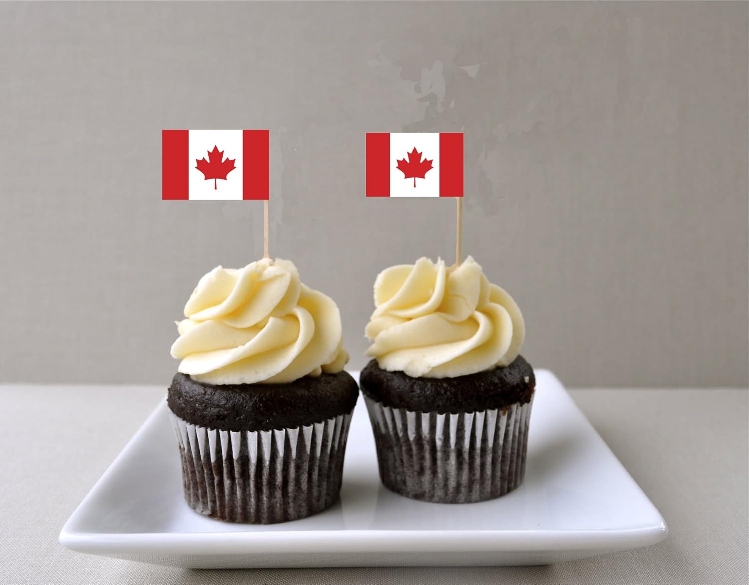 CANADA / CANADIAN CUPCAKE FLAG Cupcake Decorations / Cocktail Flags