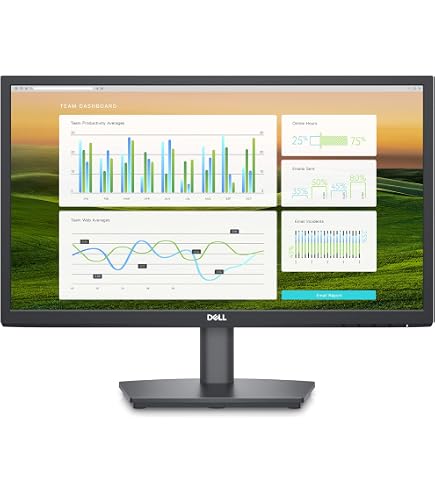 Dell E2222H 21.5