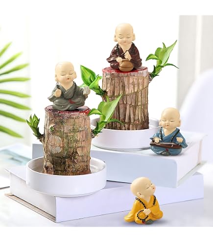 Mini Plante Brésilien WAXCMXYH Mini Bois Porte-bonheur Du Brésil Mini Plante Brésilien WAXCMXYH Mini Bois Porte-bonheur Du Brésil