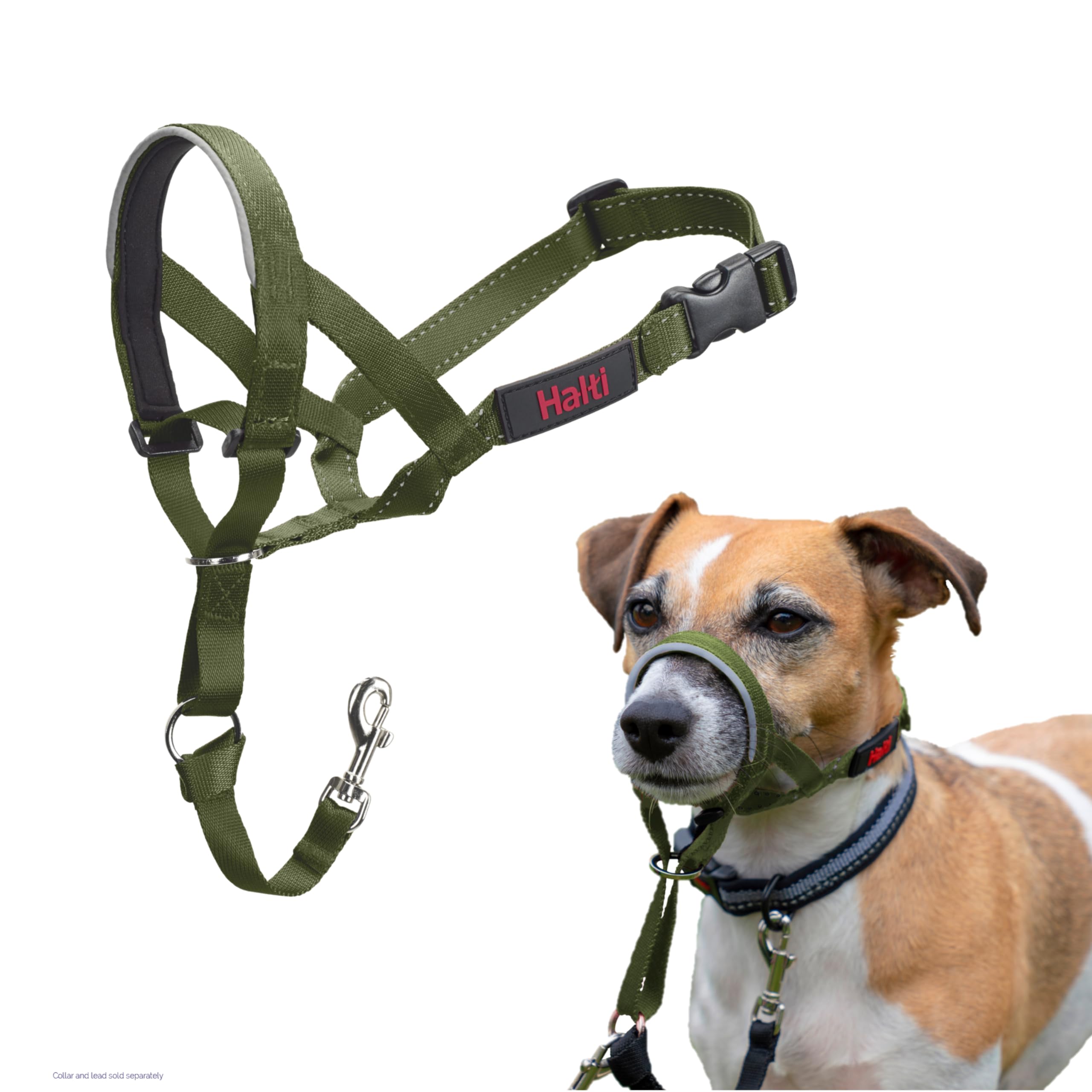 Halti Headcollar - Stop Your Dog Pulling on the Lead. Adjustable, Reflective and Lightweight, with Padded Nose Band. Dog Training Anti-Pull Collar for Small Dogs (Size 1, Forest Green)