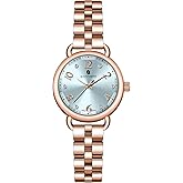 SAPPHERO Watches for Women Luxury Stainless Steel Ladies Watches Women's Bracelet Watch Small Analog 5ATM Waterproof Wrist Watch Elegant Gifts for Women