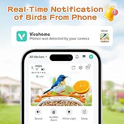 birdsnap® MON - Smart Bird Feeder with Camera, 2K