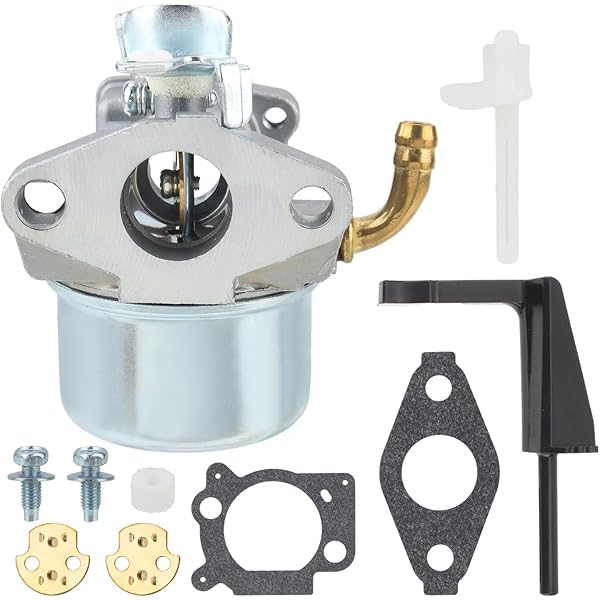 Amazon.com: 798653 Carburetor for Briggs & Stratton 697354 790290  