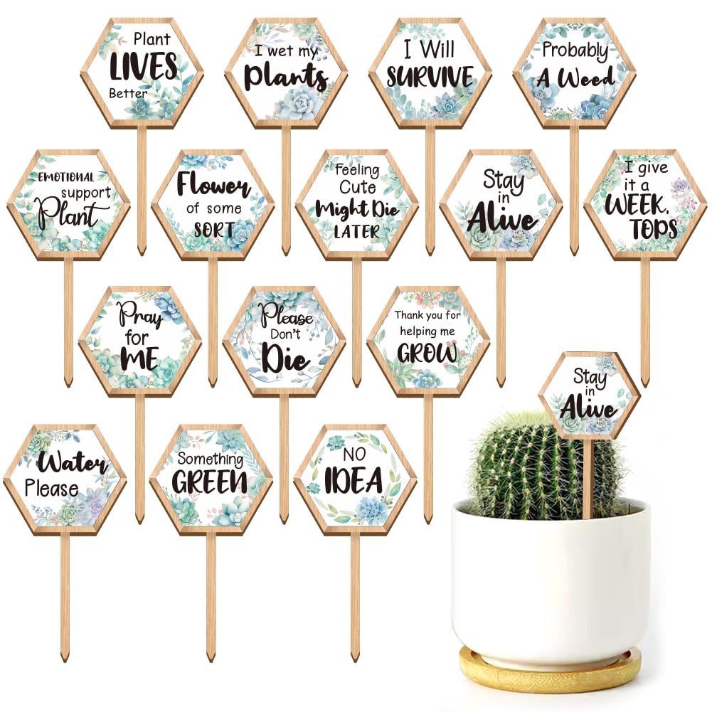 GOMAKERER 15 Pcs Hexagonal Funny Plant Markers, Water Please Pray for Me Plant Labels Wood Greenery Garden Tags for Vegetable Flower Herb Succulent Seedling Potted 2.5x4.7inch(6.35x12cm)