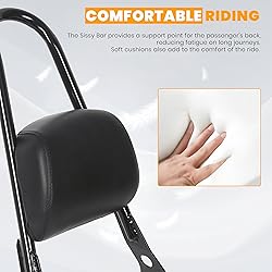 ECOTRIC Detachable Sissy Bar with Backrest