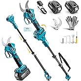 SEESII 2-in-1 Pole Pruning Shears: 1.6" Cutting Diameter Cordless Electric Pole Pruners - Brushless Motor, Dual 4.0Ah Batteries, Extra SK5 Blade, 4 Modes Adjustable Branches Cutter for Tree & Flower