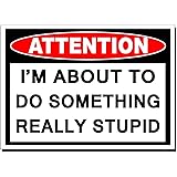 About to Do Something Stupid Vinyl Decal Sticker