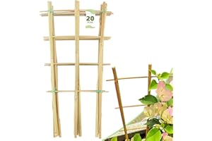 AVALUTION Bamboo Trellis for Climbing Plants 20 Pack, 16 Inch Garden Ladder Trellis for Potted Plants Indoor, Small Plant Support Trellis for Houseplants Vine