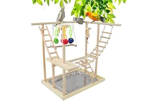RoseFlower Parrots Bird Playground Birdcage Playstand Wooden Bird Play Stand with 2 Stainless Steel Feeder Cup Swing Perch Play Gym Playpen Ladder Bird Toys, Bird Table Stand for Parakeet Birds#1