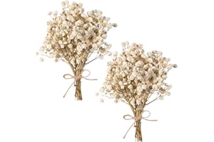 Dried Baby's Breath Bouquet, Pure White 6"-7.8" Portable Mini Gypsophila Flowers, 2000+ Natural Preserved Flowers for Wedding