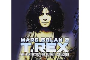 20th Century Boy: The Ultimate Collection