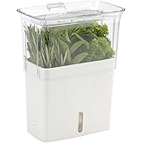 COLE & MASON Fresh Herb Keeper, Container, Clear