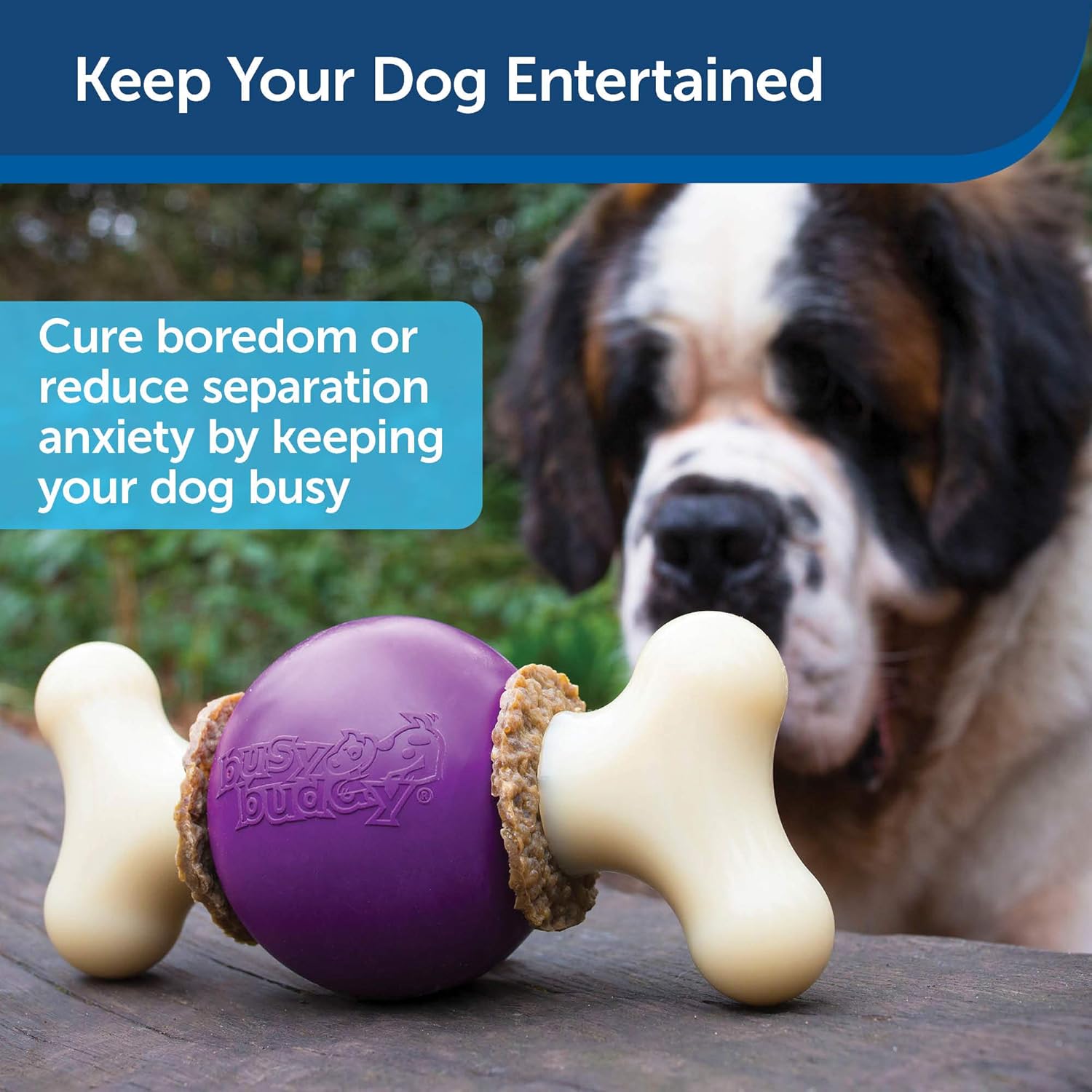 toys to keep dogs busy