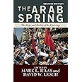 The Arab Spring: The Hope and Reality of the Uprisings