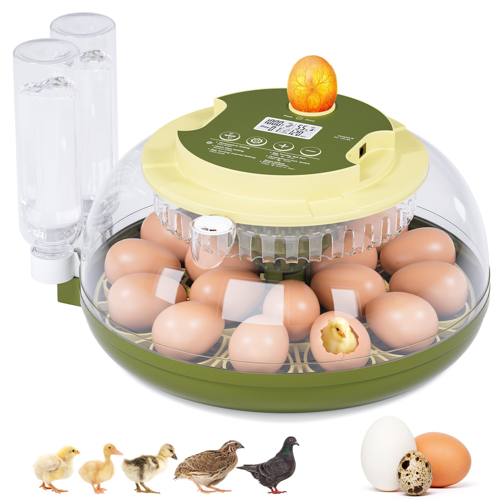 Photo 1 of Egg Incubator for Hatching Eggs,Automatic Egg Turning and Humidity Control,Incubators for Chicken, Ducks, Goose, Pigeon, Quail, Parrot Incubator for Farm, Lab, Science Classroom, Home -18 Egg Capacity