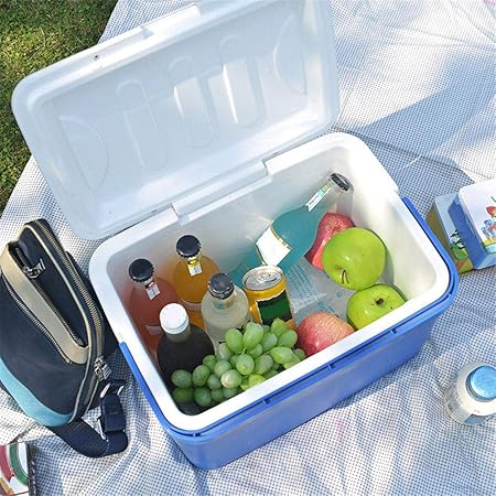 cineman - Nevera portátil para Coche, 13 L, para el Almuerzo o ...