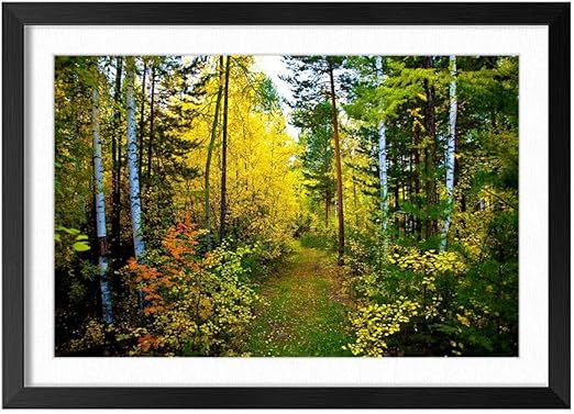 amazon com beautiful nature forest trees natural scenery art print home decor wooden frame poster black frame 12x16inch posters prints beautiful nature forest trees natural scenery art print home decor wooden frame poster black frame 12x16inch
