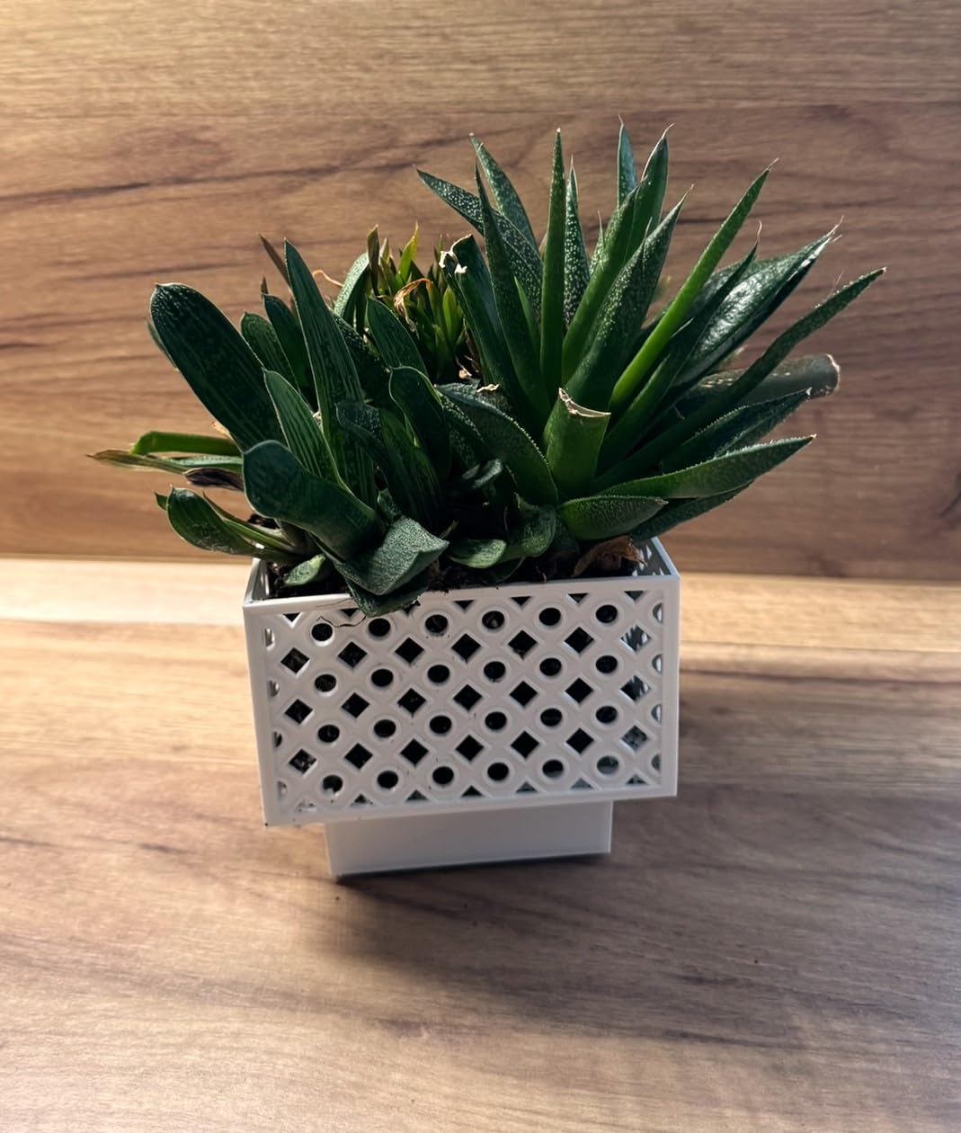 Kimmel Planter, White, 13 cm