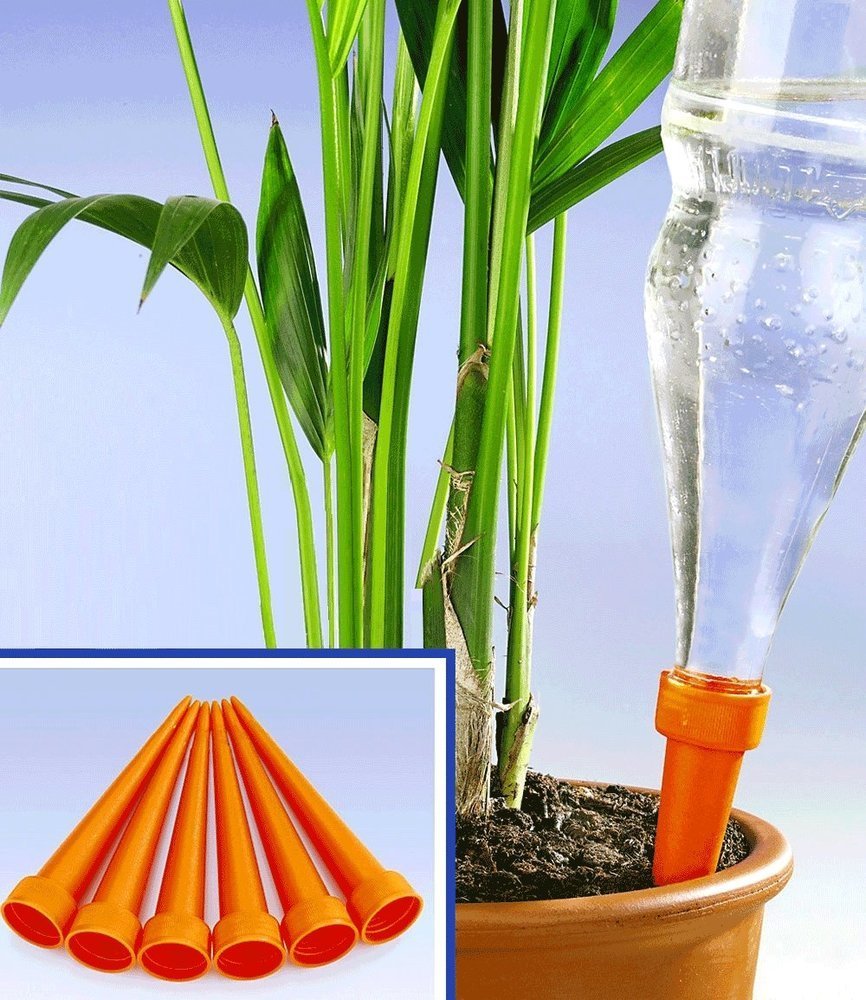 Maximex Plant Watering Spikes, Set of 6