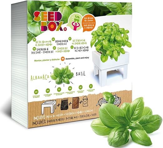 SeedBox SBCUAL - Huerto Urbano de albahaca: Amazon.es: Jardín
