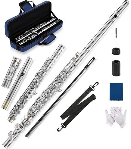 Amazon.com: Hall Crystal Flute 11201 - Inline Glass Piccolo in C