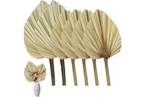 RUENXG Dried Palm Leaves 6 Pcs Natural Dried Real Palm Natural Trimmed Palm Fans Boho Palm Leaves Decor Dried Palm Leaves wit